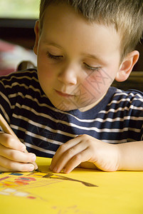 男孩绘图兄弟绘画学习铅笔想像力专注力男生艺术专注儿子背景图片