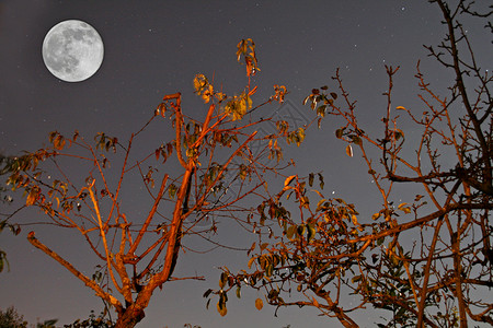 月亮月球天文学涟漪黑色反射灰色波纹天空科学月光背景图片
