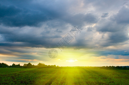 日落在田野上太阳场景金子天气地平线植物天堂草地农业叶子灰色的高清图片素材
