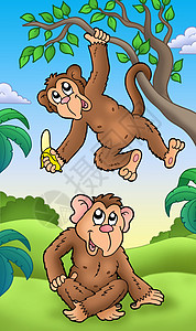 卡通水果香蕉两只卡通猴子背景