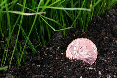 丢失硬币货币损失金融绿色地面金属背景图片