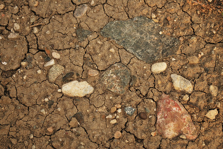 地质灾难差距土地气候休息蟋蟀沥青拼图裂缝干旱图片素材