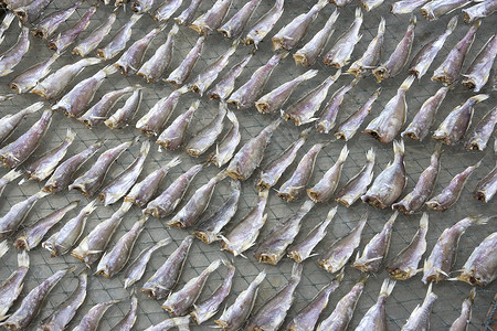 咸鱼干燥食物海洋美食商业生产盐渍海鲜背景图片