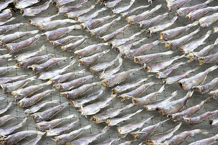 咸鱼干燥海洋商业食物海鲜美食盐渍生产背景图片