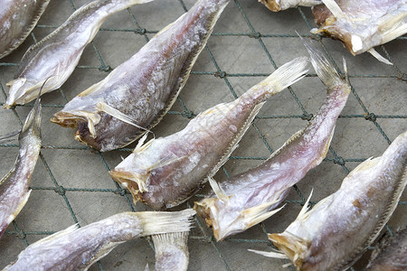 咸鱼干燥生产海洋食物美食商业海鲜盐渍背景图片