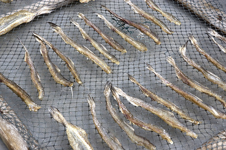 咸鱼干燥商业食物海鲜盐渍美食海洋生产背景图片