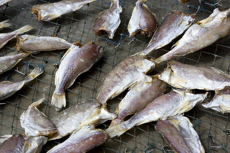 咸鱼干燥生产盐渍商业食物海洋海鲜美食背景图片