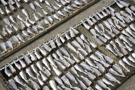 咸鱼干燥海洋海鲜生产食物商业美食盐渍背景图片