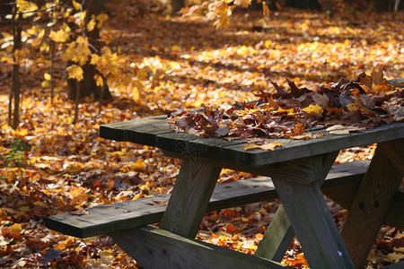 十月一台历桌签秋色桌背景