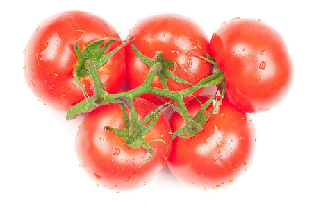 番茄西红柿收获五环食物饮食团体农业红色绿色蔬菜背景图片