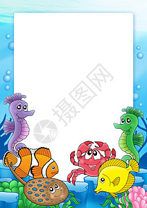 动物框架矢量图热带鱼类框架 2背景
