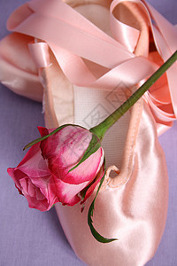 芭蕾舞鞋细绳玫瑰粉色叶子芭蕾舞配件丝带戏服背景图片