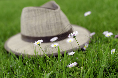 鲜花和帽子稻草太阳男士裙子花朵背景图片