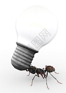 蚂蚁携带灯泡b背景图片