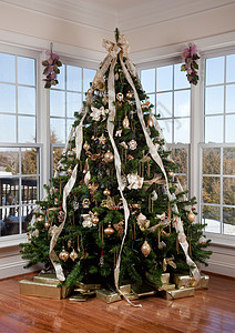 拐角处的圣诞树背景图片