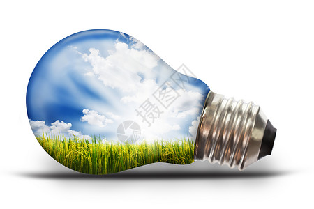 蓝色电灯泡有稻谷的灯泡玻璃气体活力思维天空想像力白色解决方案智力金属背景