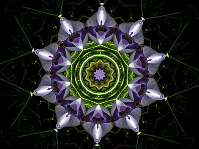 莱拉鲜花戒指圆形万花筒紫色插图射线黑色宇宙星星照片背景