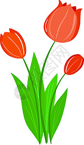 两只郁金香Tullip 郁金风格叶子卡通片装饰花园花束设计图片
