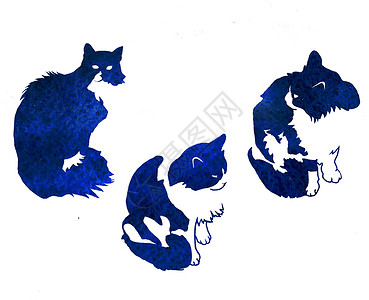 三只黑蓝猫背景图片