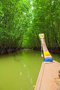 红树林公园假期森林运输溪流红树植物叶子树干蓝色旅行高清图片素材