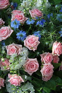 黑种大马士革蓝花和粉红花安排植物花店植物群作品阵雨花束花瓣花朵迷雾绿色背景