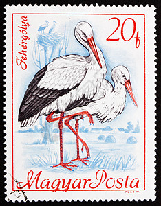 腊八节过了腊八就是年字体设计1968年 匈牙利白斯托克 鸟背景