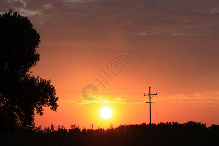 堪萨斯橙色烈火日落和树影高清图片