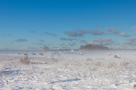 高危儿雾中积雪的干草篮子背景