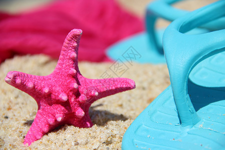 海费上有趣的粉红海星鱼背景图片
