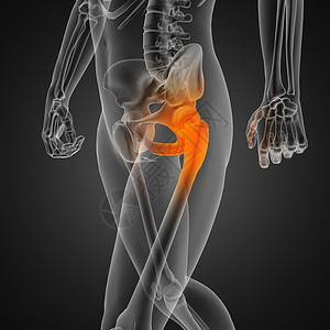 身体部分人类放射摄影扫描药品诊断膝盖创伤x光疾病骨头风湿病身体解剖学背景