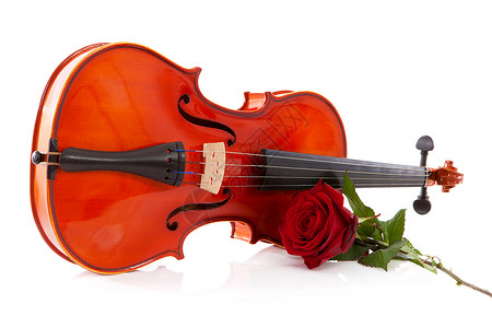 阴和玫瑰场景音乐乐器红色背景图片