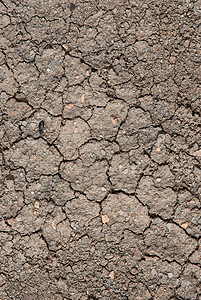 地球土地裂开的土纹理地球灾难环境沙漠天气生态土壤墙纸裂缝气候背景