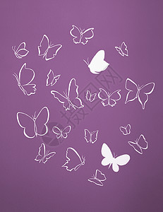 白色圆光影飞翔的蝴蝶背景墙纸团体紫色材料背景图片