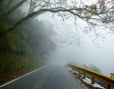 迷雾道路车道旅行土地热带小路城市薄雾国家阴霾沥青高清图片