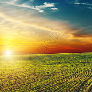 绿地上美丽的夕阳地平线国家天空阴影晴天草原生长培育草地太阳光高清图片素材