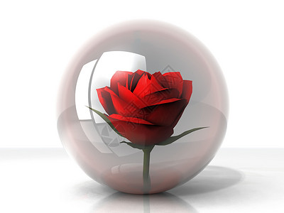 花在泡沫中浪漫反射玫瑰植物水晶花瓣花束背景图片