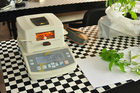 绝对湿度测量仪技术仪器叶子实验实验室科学水分仪表学生植物背景图片