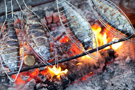 ps素材火鱼在营火上钓鱼旅行假期烧烤炙烤熏制烹饪食谱闲暇木头食物背景