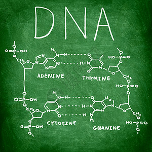 黑板上的DNA化学结构背景图片