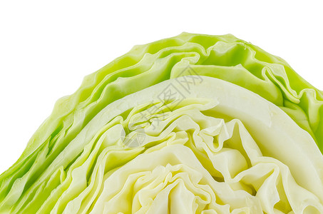 绿色卷菜幻灯片沙拉植物健康饮食蔬菜白色食物背景图片