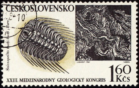 捷克斯洛伐克邮票上的山地和化石石化国会地质学挖掘古生物学地理邮戳历史沸石探索背景