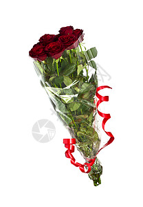 白色背景的美丽红玫瑰 美丽的红玫瑰芙蓉花店花束植物学花瓣植物群展示植物念日庆典背景图片