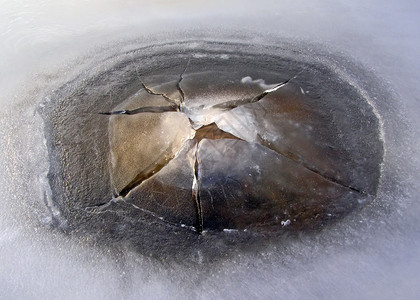 冰上的裂缝覆盖碛高清图片
