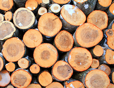 木柴堆财富木材颗粒状棕色粮食树干年度材料生长木头高清图片