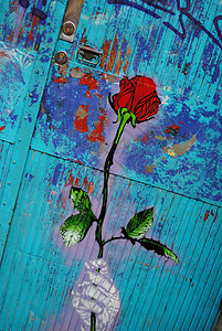 玫瑰花卉艺术花店花朵涂鸦背景图片
