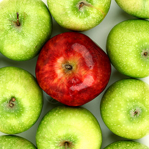吃光的红苹果红苹果和绿苹果花园果汁饮食宏观食物水果叶子小吃季节背景
