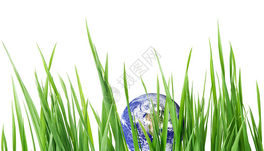 绿绿色地球圆形全球白色生态植物行星背景图片