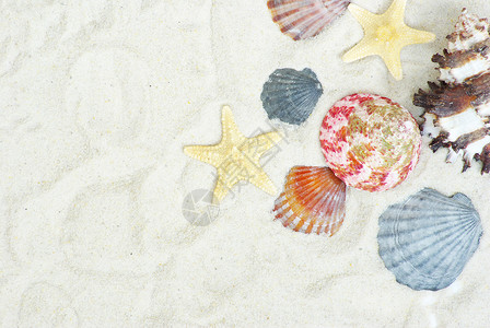 贝壳旅游海岸海岸线海洋假期记忆支撑星星天堂框架背景图片