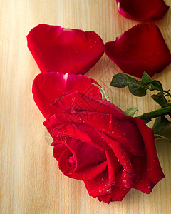 玫瑰和心的花瓣婚礼植物友谊木头红色背景图片