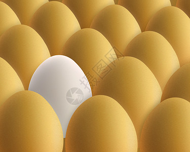 独一白蛋放置例外的高清图片